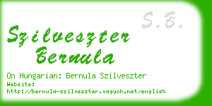 szilveszter bernula business card